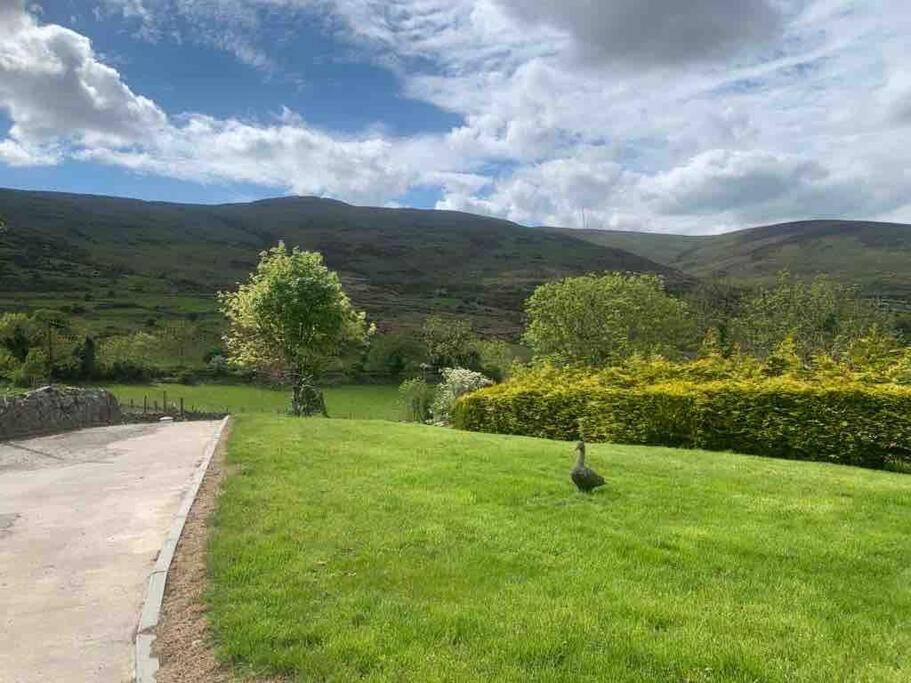 Mountain House Omeath Near Carlingford Villa O Meith Exterior foto