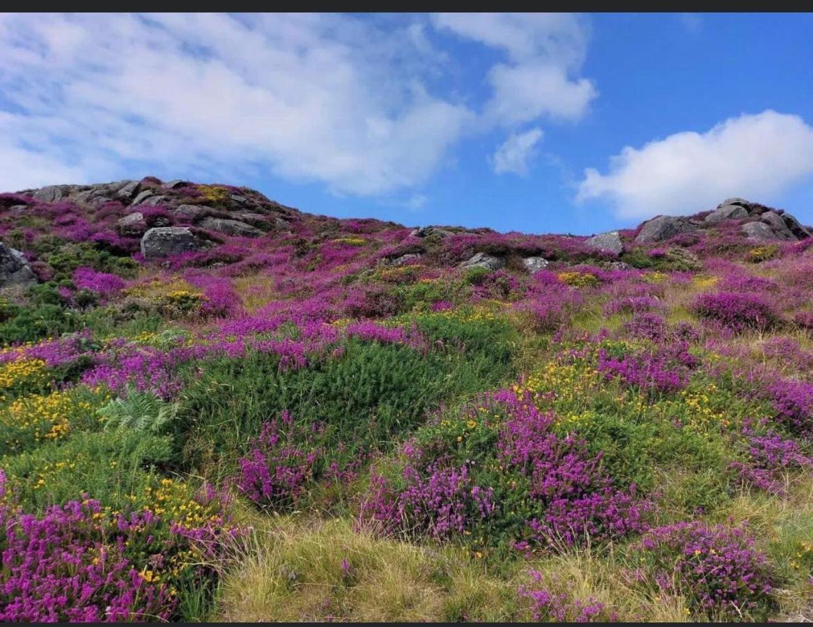 Mountain House Omeath Near Carlingford Villa O Meith Exterior foto