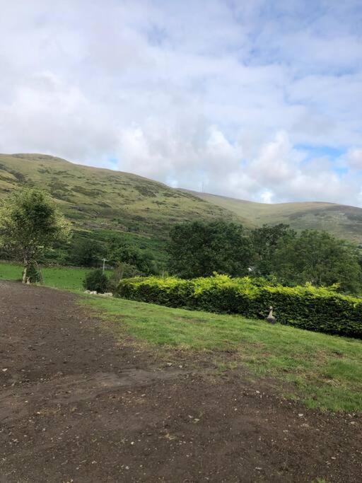 Mountain House Omeath Near Carlingford Villa O Meith Exterior foto